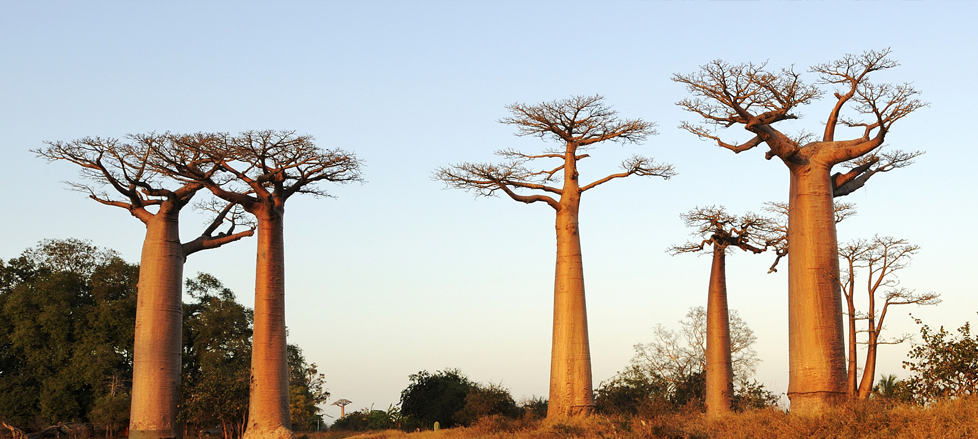 環(huán)境和社會責任 環(huán)境和社會責任