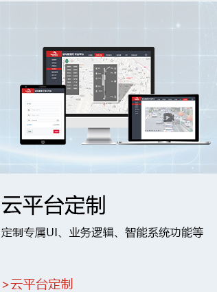 智慧桿云平臺定制.jpg