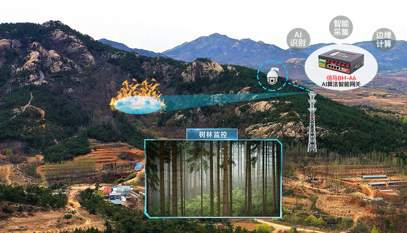 AI智能網(wǎng)關(guān)森林防火應(yīng)用.jpg
